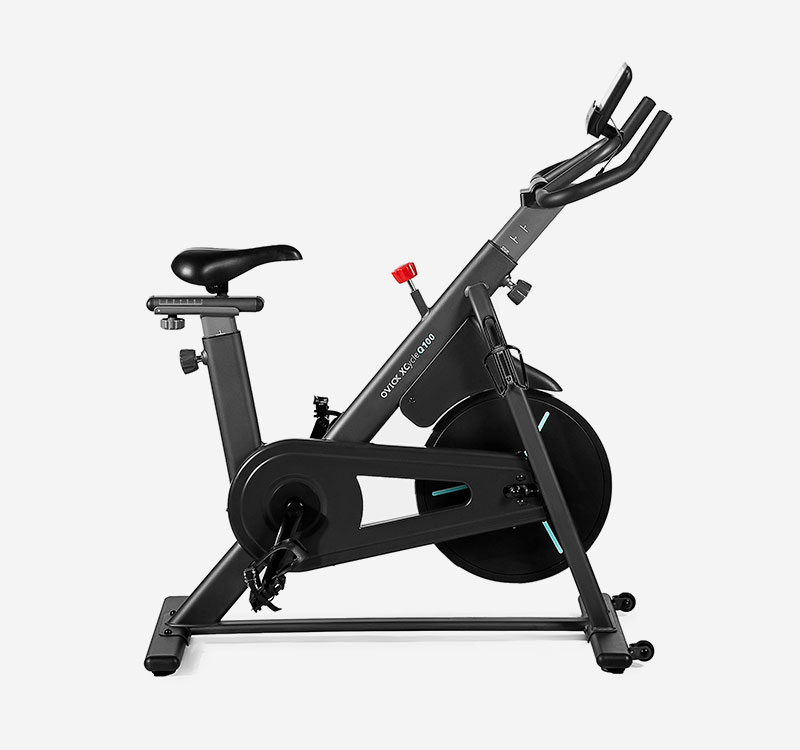 Bicicleta de Spinning OVICX Q100C